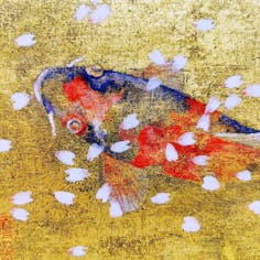 桜鯉図